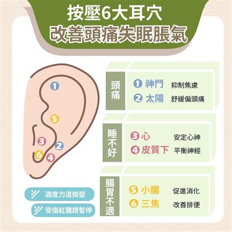 耳貼是什麼|耳朵有解痛神奇穴位！按壓6大「耳穴」頭痛、失眠、。